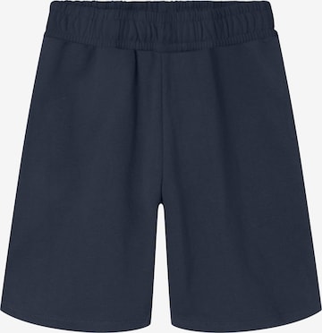 NAME IT Trousers 'NKNCyber' in Blue: front