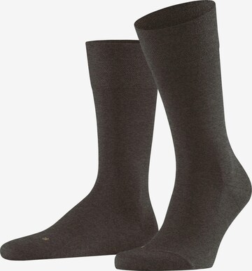 FALKE Socken 'Sensitive Berlin' in Braun: Vorderseite