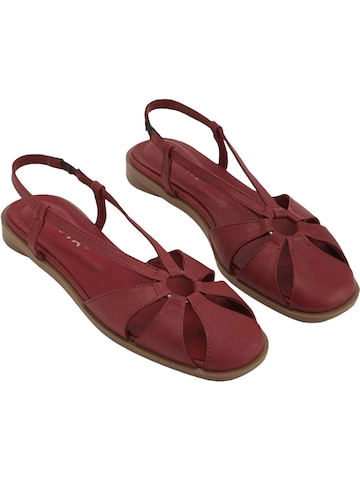 Limoya Sandals 'Damensandalen' in Red