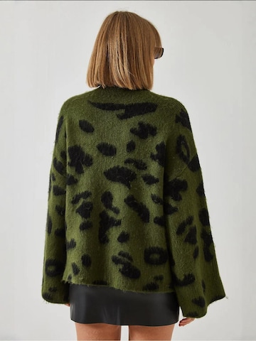 Pull-over Bianco Lucci en vert