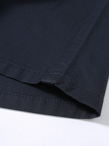 ALLTHEMEN Regular Traditional Pants 'Wesen' in Blue