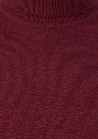 s.Oliver Men Big Sizes Pullover in Rot: Vorderseite
