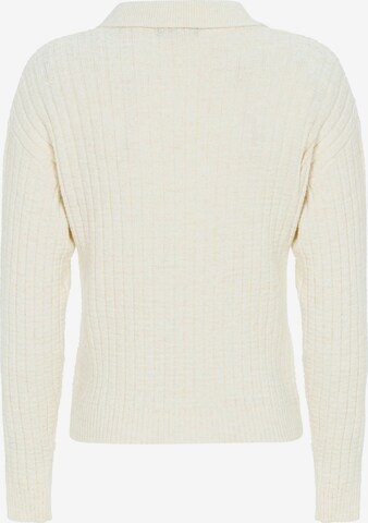 CIPO & BAXX Strickpullover in Beige