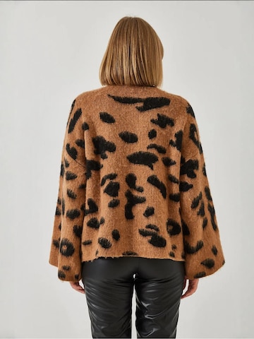 Pull-over Bianco Lucci en marron