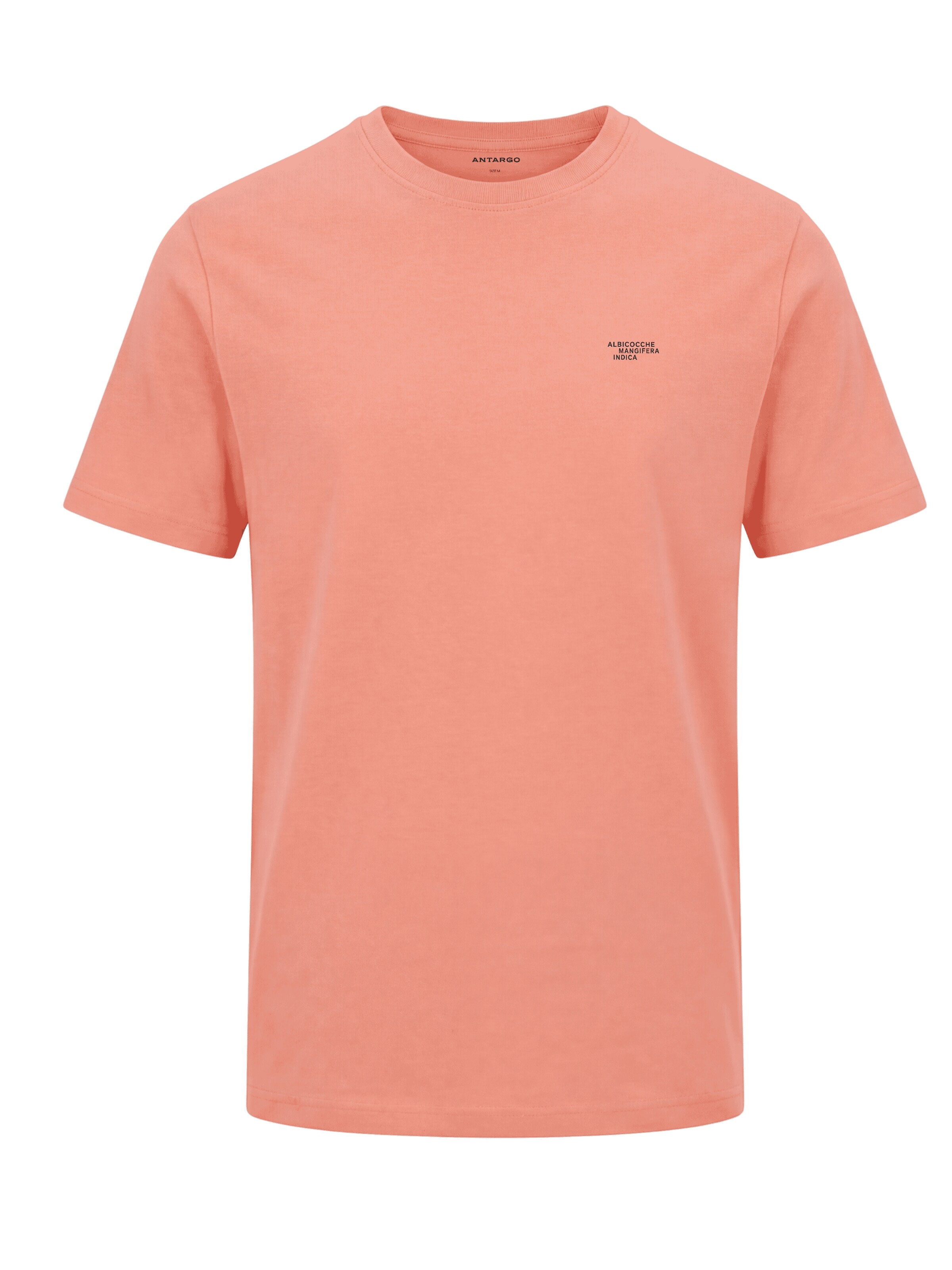 Antargo Shirt 'Summer vibes' in Orange: front