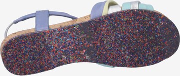 JOSEF SEIBEL Strap Sandals in Mixed colors