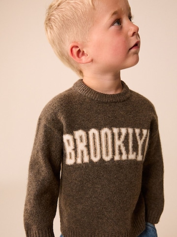 Next Trui in Bruin