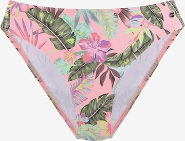 s.Oliver Bikini Bottoms in Pink: front