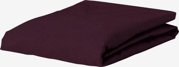 ESSENZA Bed Sheet 'Minte' in Red: front