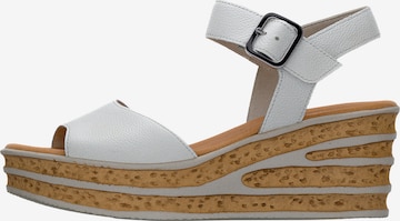 GABOR Sandaalit värissä valkoinen: etupuoli