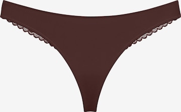 String ' Red Label Pretty Modal ' TRIUMPH en marron : devant