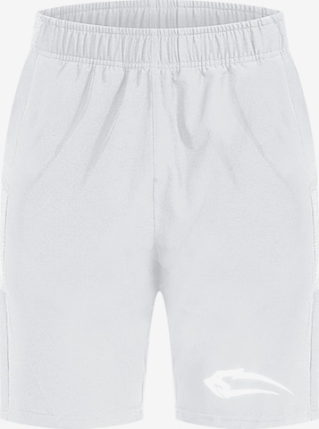 Smilodox Sports trousers in Grey: front