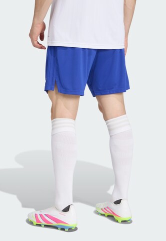 ADIDAS PERFORMANCE Regular Sportbroek 'Olympique Lyonnais' in Blauw