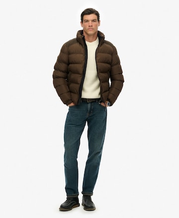 Veste mi-saison Superdry en marron