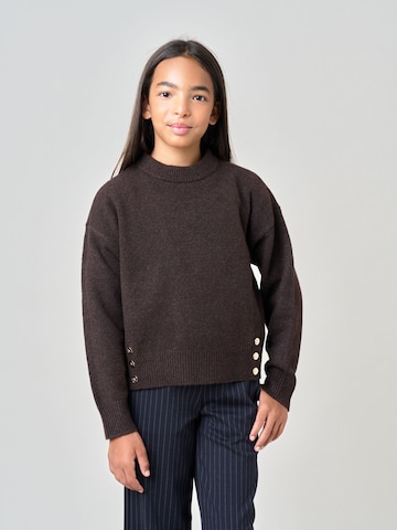 Pull-over Deeluxe en marron