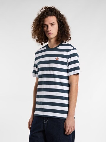 DICKIES Shirt 'RIVERGROVE' in Blue: front