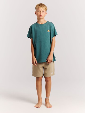 PROTEST Loosefit Hose 'PRTClints JR'‌‌‌‌‌‌‌‌‌ in Braun