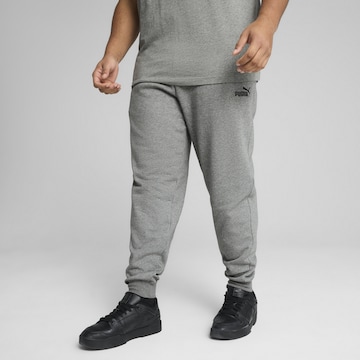 PUMA Tapered Trousers 'Essentials No. 1' in Grey: front
