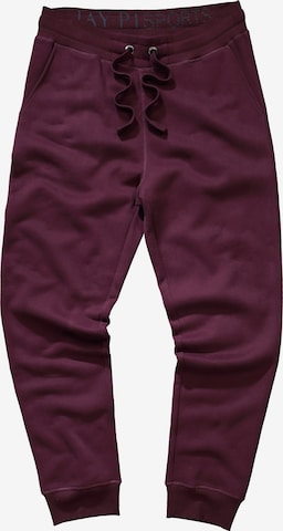 JAY-PI Tapered Pants in Purple: front