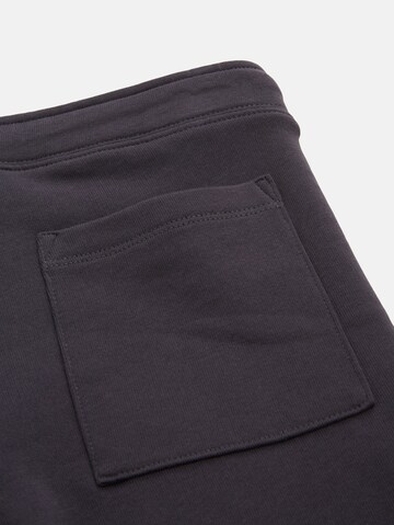 Regular Pantalon TOM TAILOR en gris