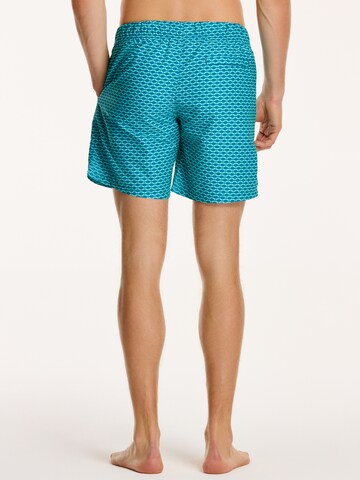 Shiwi Swimming shorts in Blue