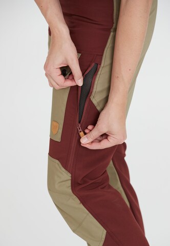 Whistler Regular Outdoor Pants 'ANISSY W' in Brown