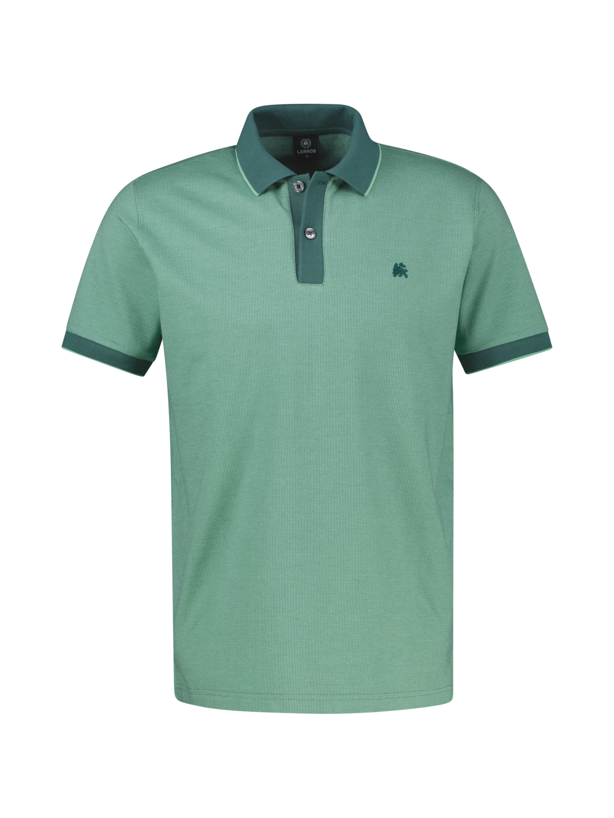 LERROS Shirt in Green: front