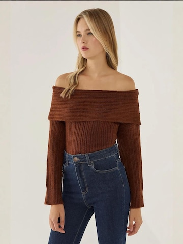 Hiccup Pullover in Braun