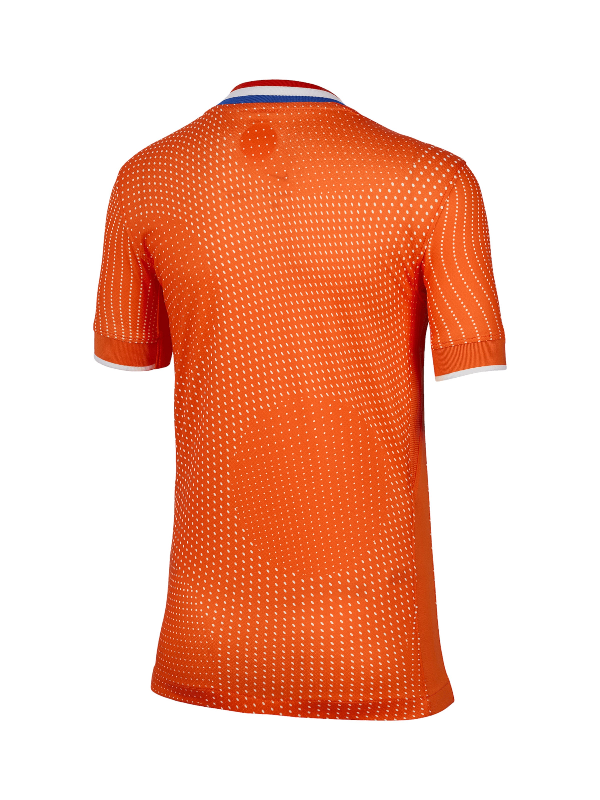 NIKE Funkcionális felső 'Netherlands Trikot 2025' - narancs