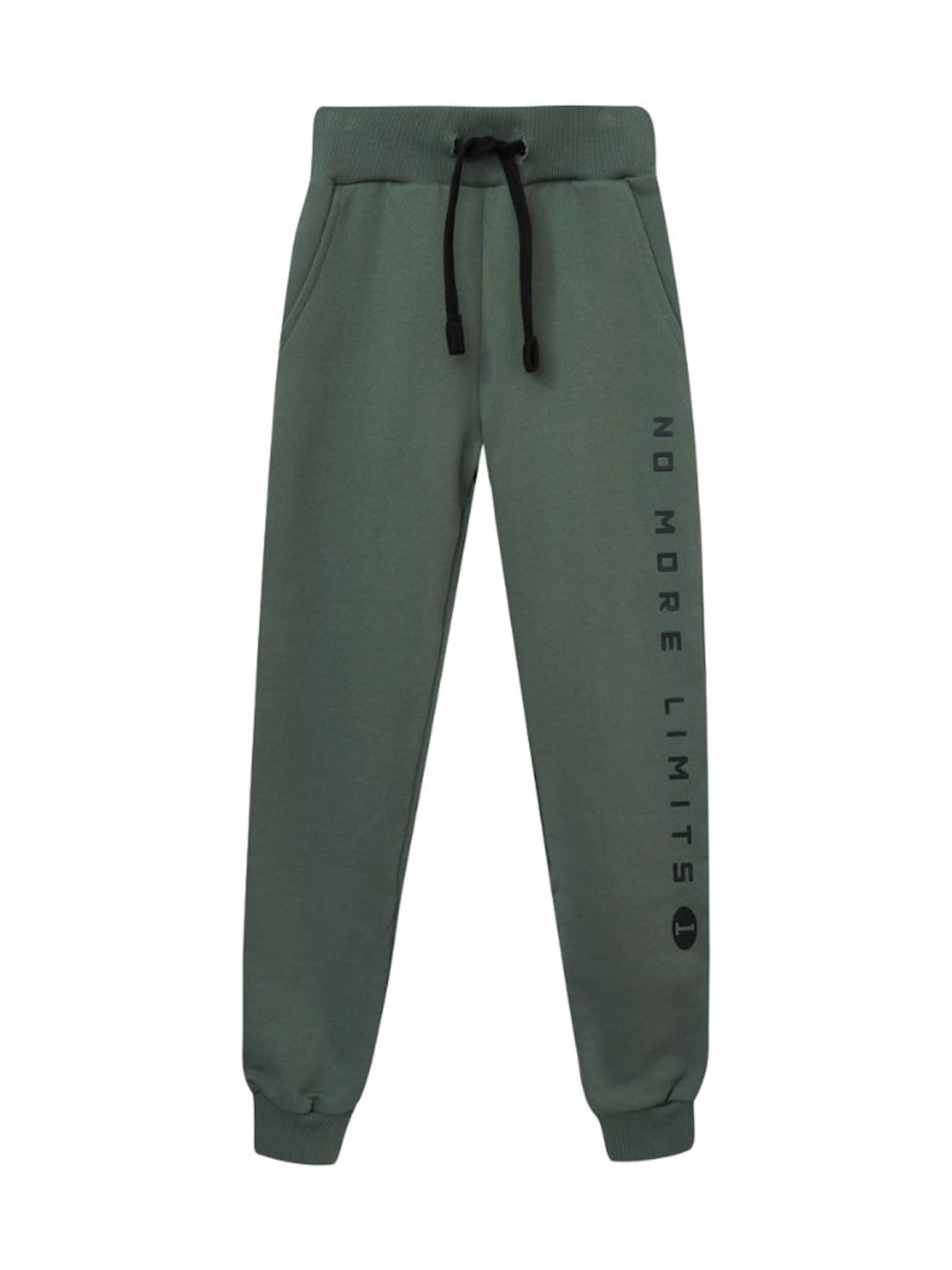 WINKIKI Regular Hose‌‌‌ in Grün: Vorderseite