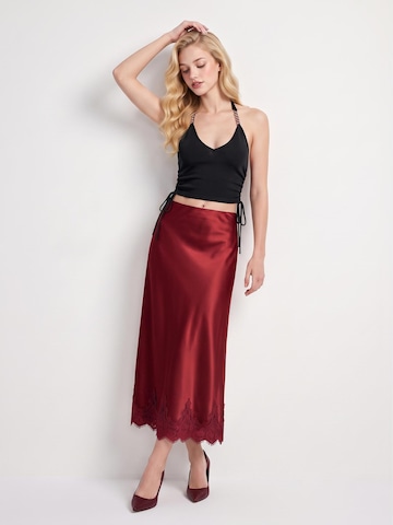 TorWeit Rok in Rood