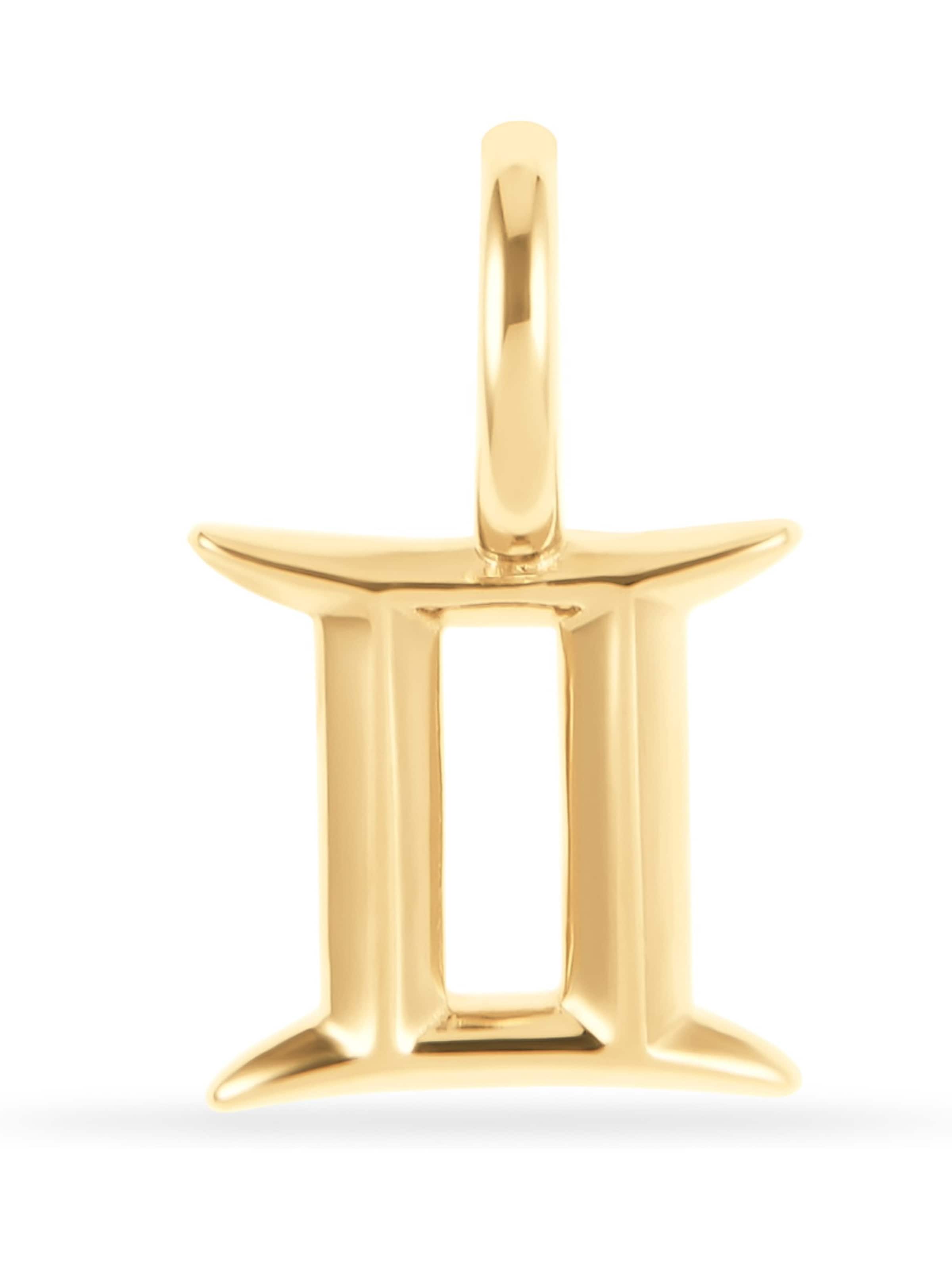 FAVS Anhänger in Gold: Vorderseite