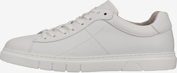 Pius Gabor Sneakers laag in Wit: voorkant