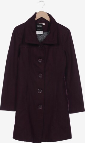 Orsay Jacket & Coat in M in Purple: front