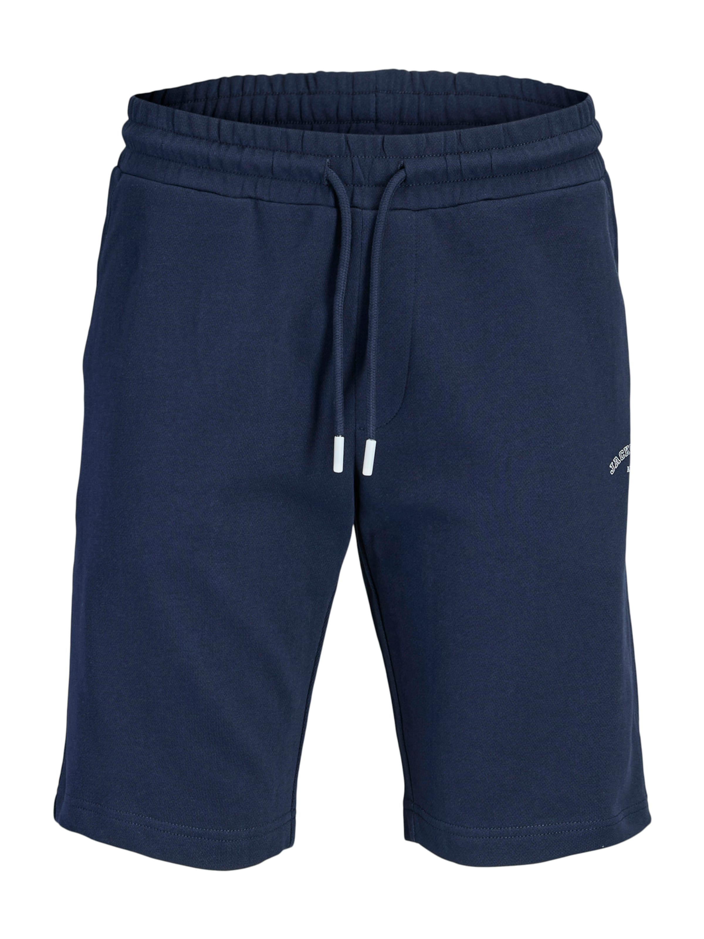 Regular Pantalon 'JPSTGORDON' Jack & Jones Plus en bleu : devant