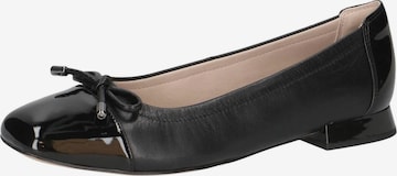 Balerini de la CAPRICE pe negru: față