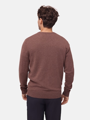 Pull-over DANISH ENDURANCE en marron