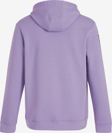 PROTEST Sweater 'CLASSIC LOGO HOODY' in Purple: front