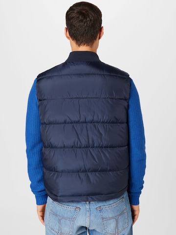 Gilet di ALPHA INDUSTRIES in blu