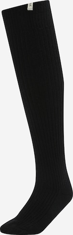 Guido Maria Kretschmer Women Knee High Socks 'Elfi' in Black: front