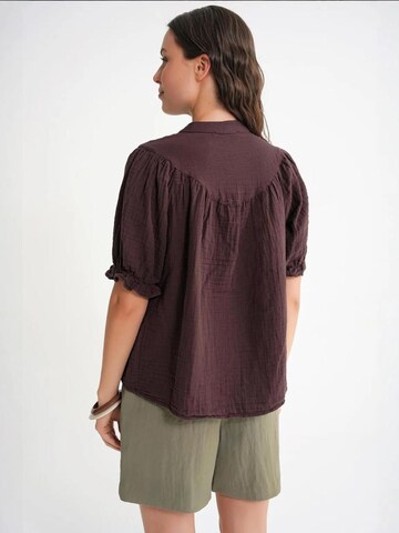 MixRay - Blusa em castanho