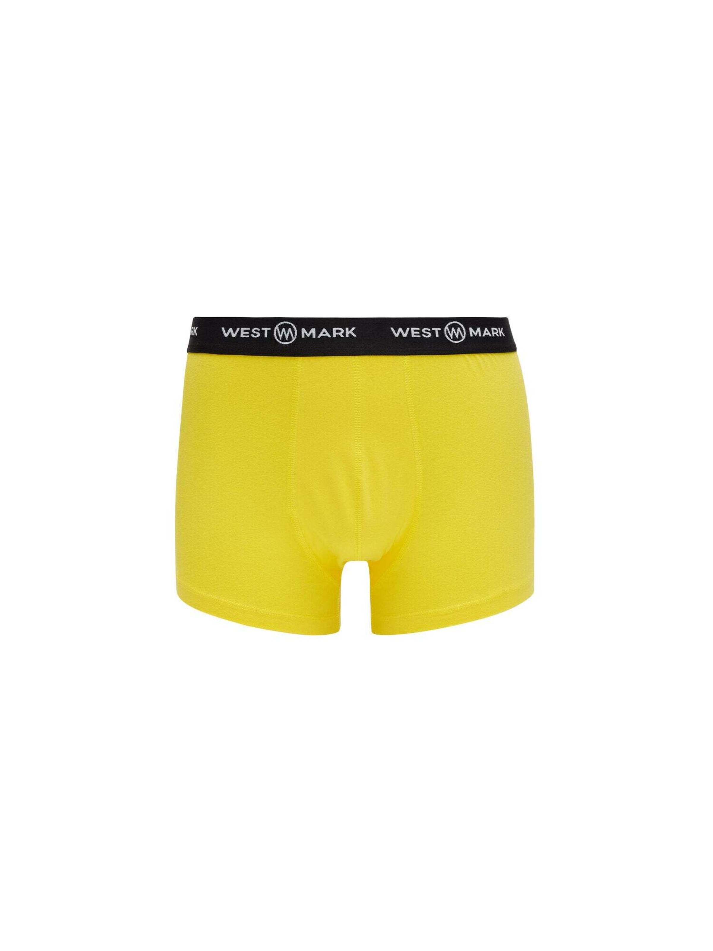 WESTMARK LONDON Boxershorts 'Oscar' in Blauw