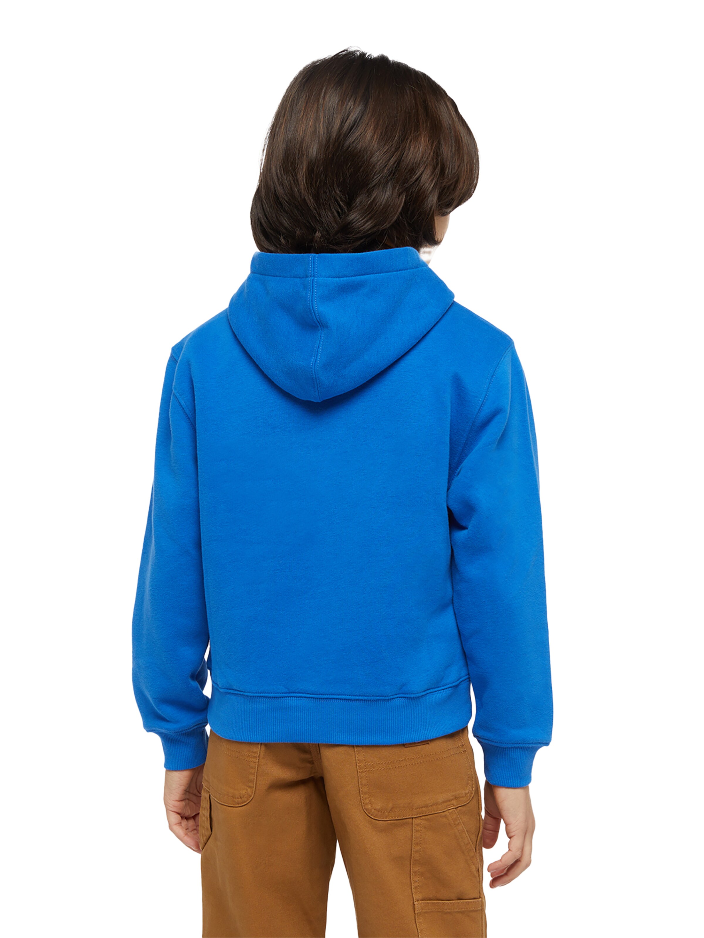 DICKIES - Sudadera en azul