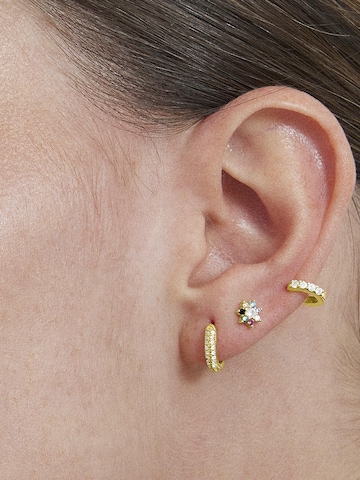 Luxenter Earrings 'Rahlau' in Yellow