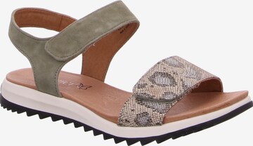 CAPRICE Sandalen met riem in Beige