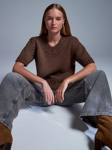 Pullover 'Pullover' di Dilvin in marrone