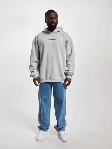 ROCAWEAR Sweatshirt in Grey