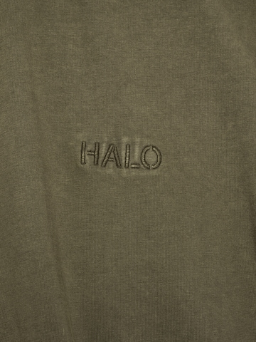 HALO Shirt in Green