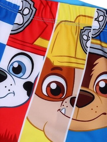 Ensemble de linge 'Paw Patrol Bade-Boxershorts' DISNEY en mélange de couleurs