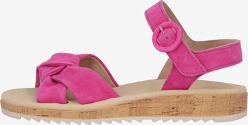 Paul Green Sandals '6105' in Pink